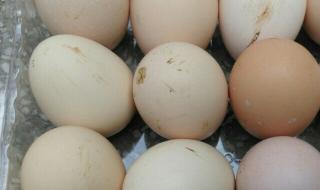 农夫山泉回应水有虫 农夫山泉回应水有虫